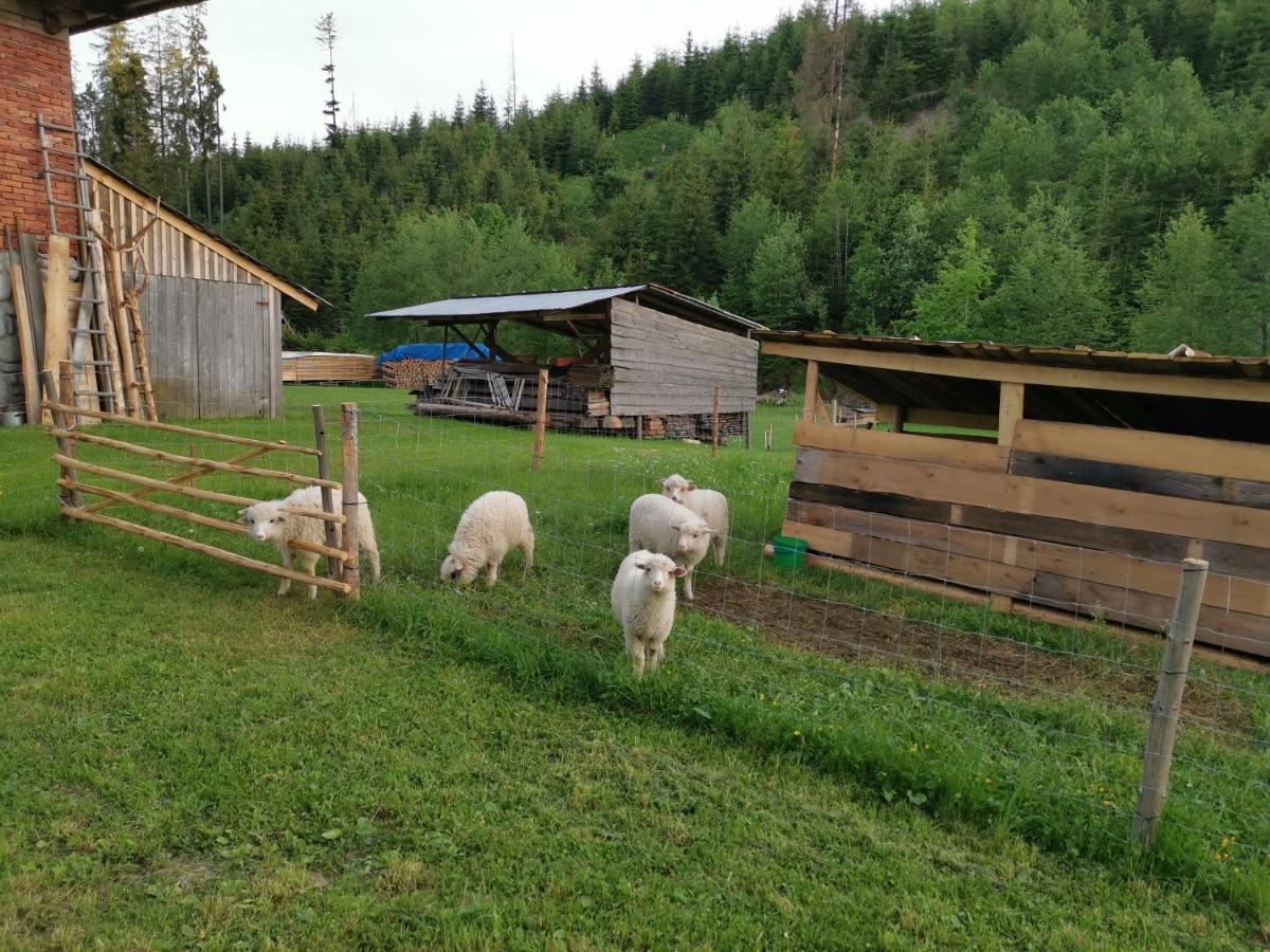 Pokoje Goscinne Pod Limbami Małe Ciche Exterior photo